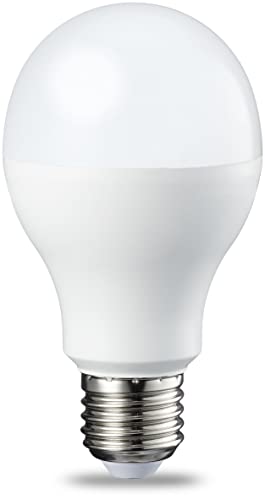 Amazon Basics - Bombilla rosca Edison LED E27, 13 W (equivalente a 100 W), blanco frío, no regulable, paquete de 2, CRI80