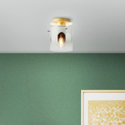 Lightbox Moderna lámpara de techo – Lámpara de techo con pantalla de cristal decorativa – Adecuado para 1 bombilla E27 – Cristal/Metal dorado/cristal ahumado